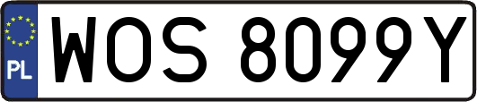 WOS8099Y