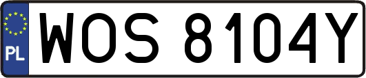 WOS8104Y
