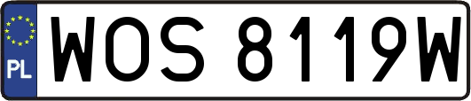 WOS8119W