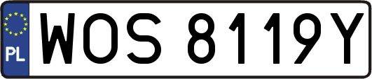 WOS8119Y