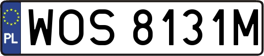 WOS8131M