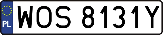 WOS8131Y
