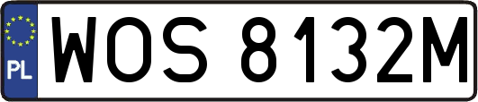 WOS8132M