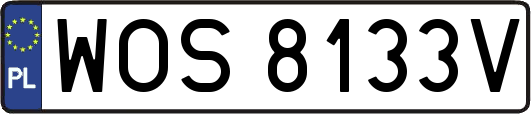 WOS8133V