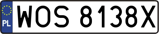 WOS8138X