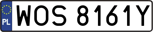 WOS8161Y