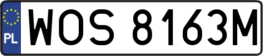 WOS8163M