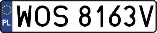 WOS8163V