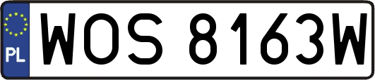 WOS8163W