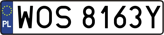 WOS8163Y