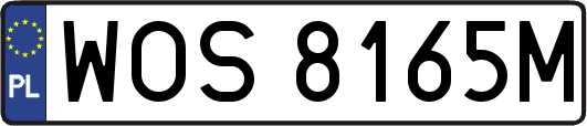 WOS8165M