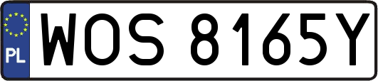 WOS8165Y