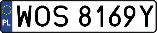 WOS8169Y