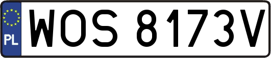 WOS8173V