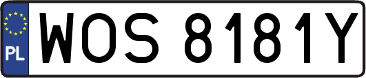 WOS8181Y