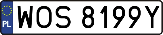 WOS8199Y