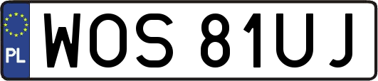 WOS81UJ
