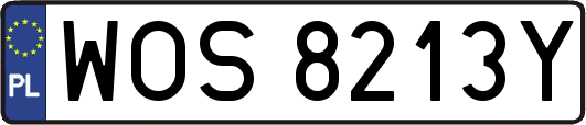 WOS8213Y