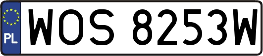WOS8253W