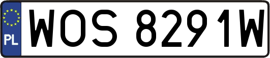 WOS8291W