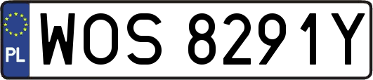 WOS8291Y