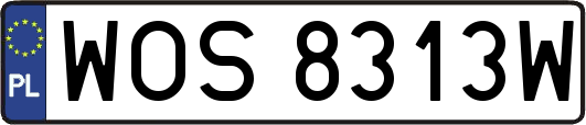 WOS8313W