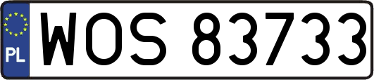 WOS83733