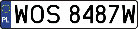 WOS8487W