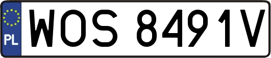 WOS8491V