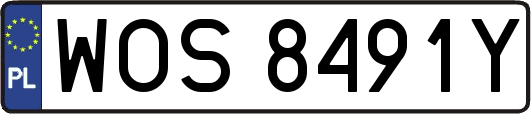 WOS8491Y