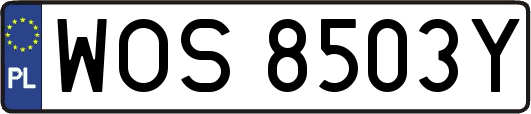 WOS8503Y