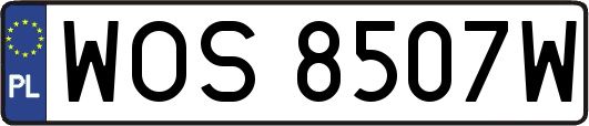 WOS8507W