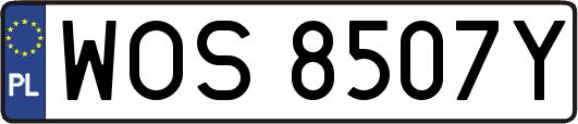 WOS8507Y