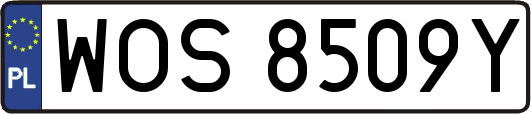 WOS8509Y