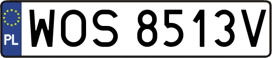 WOS8513V