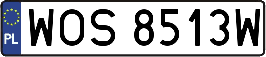 WOS8513W