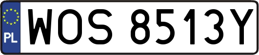 WOS8513Y