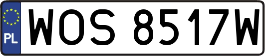 WOS8517W