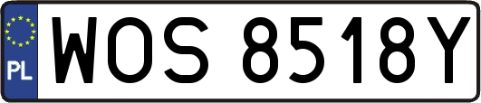 WOS8518Y
