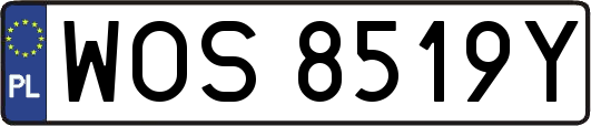WOS8519Y
