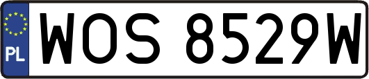 WOS8529W