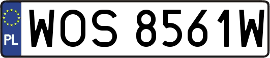 WOS8561W