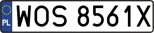 WOS8561X
