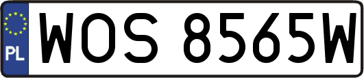 WOS8565W