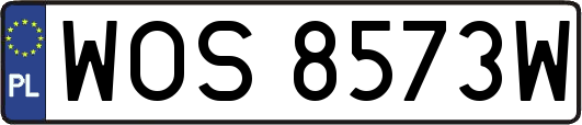 WOS8573W