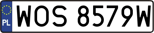 WOS8579W