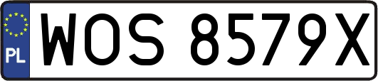 WOS8579X