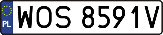 WOS8591V