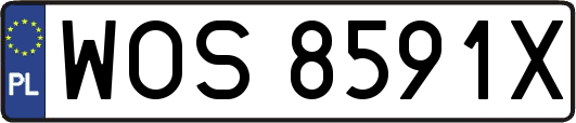 WOS8591X