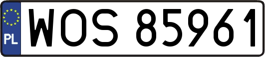 WOS85961